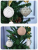 S7f967125e32444d3be50d89467907e79R.png